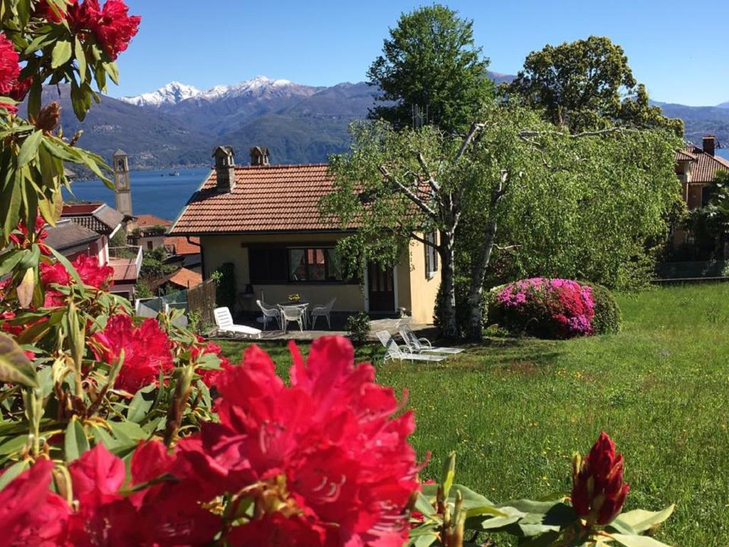 Villa Le Betulle Oggebbio Exterior foto